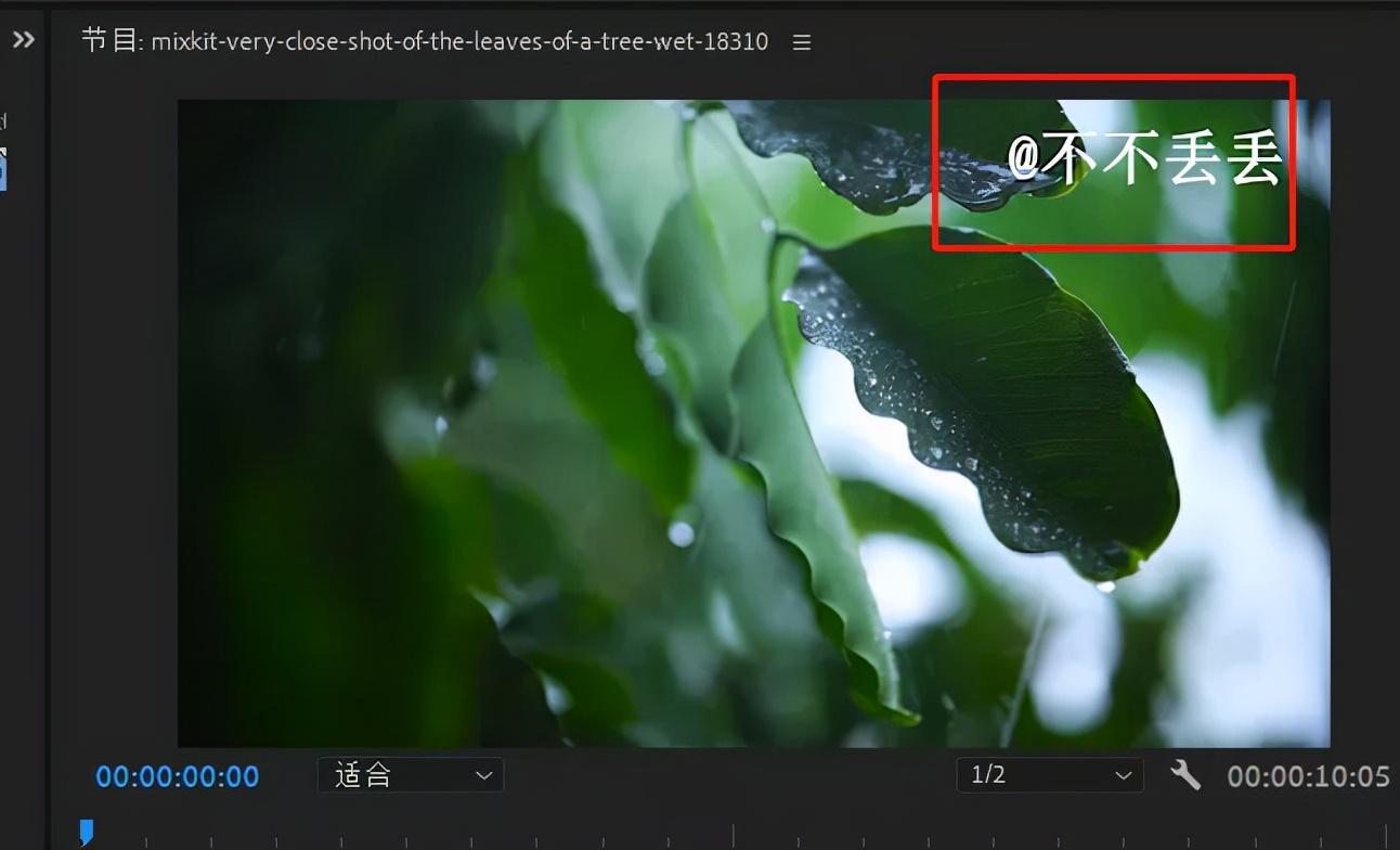 免费去掉抖音号水印最简单的方法（视频去水印的3个小方法）