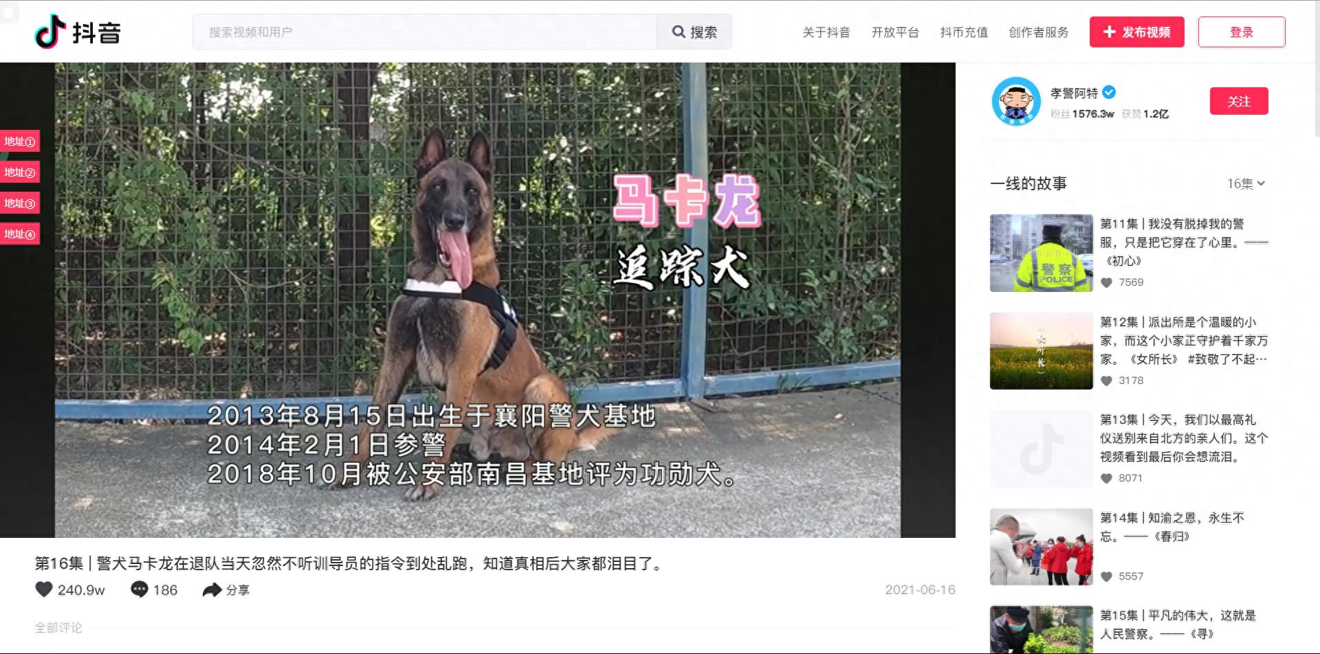 抖音在线网页版进入（网页版tiktok）