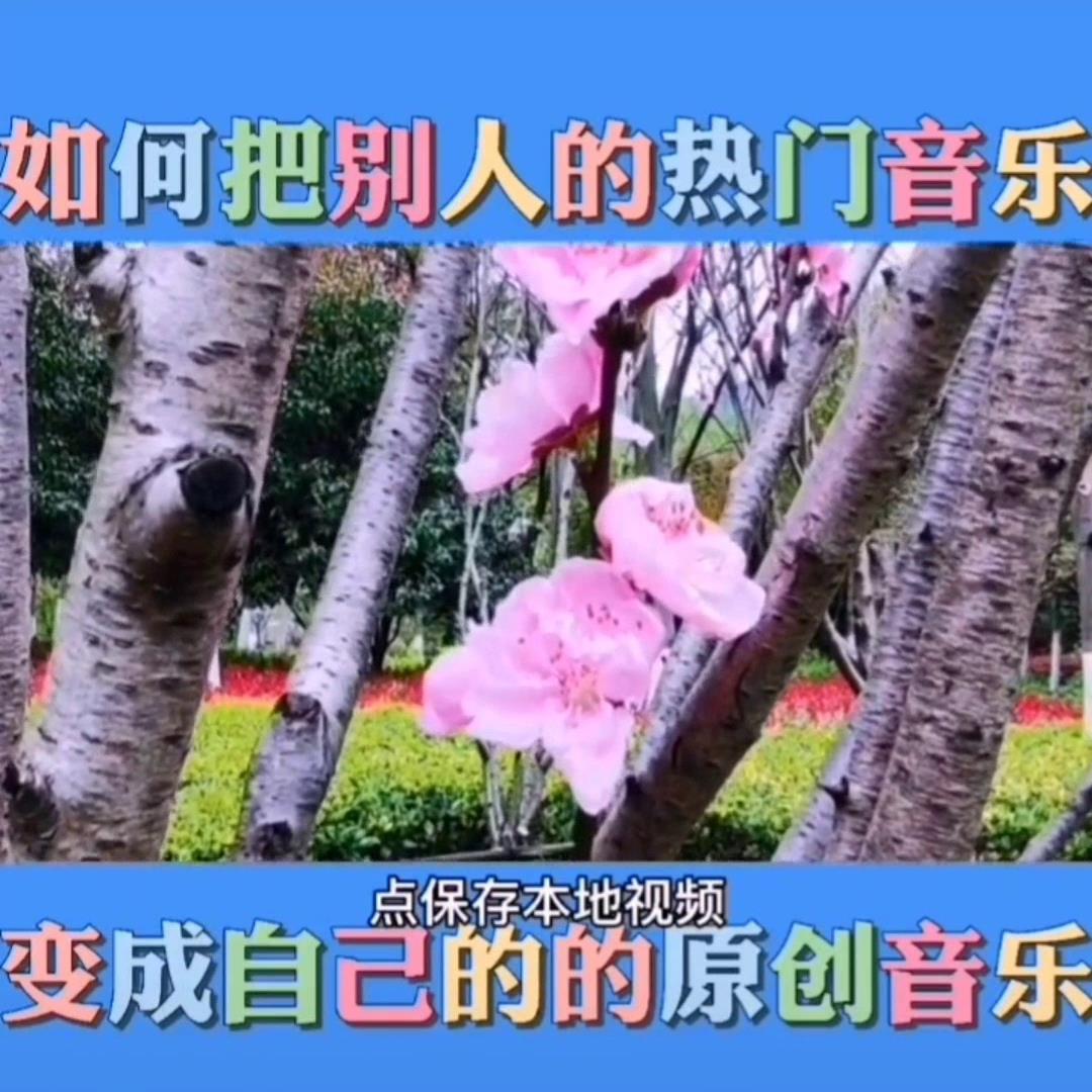 如何把别人的热门音乐变成自己的的原创音乐（抖音短视频制作教程）