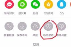 抖音怎么设置动态壁纸权限（抖音背景可以设置权限吗）