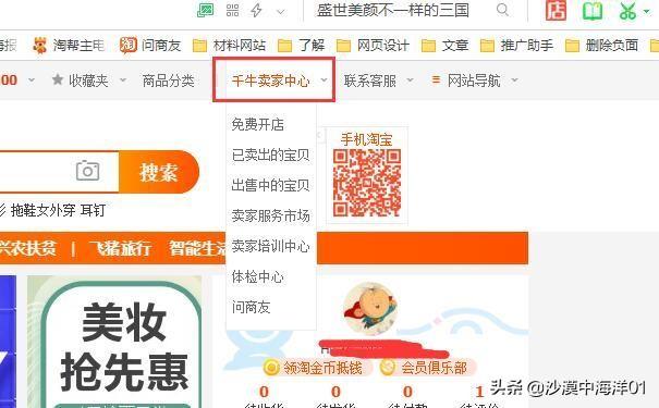如何开淘宝虚拟网店卖东西（虚拟店铺申请流程） - 12345678