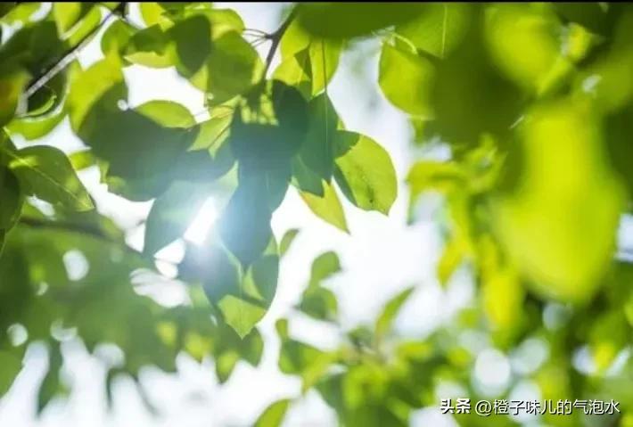 手机网上兼职赚钱是真的吗(就让我这个过来人来告诉你吧)