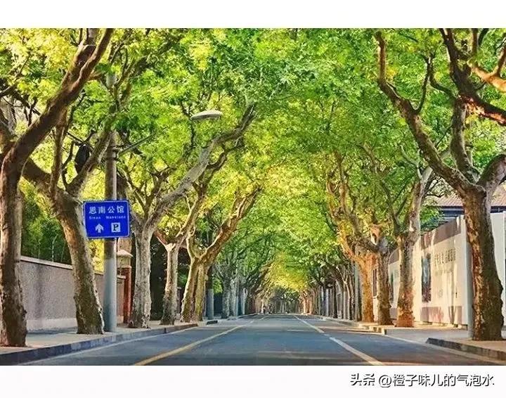 手机网上兼职赚钱是真的吗(就让我这个过来人来告诉你吧)