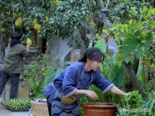 抖音网红前十名排行榜？你都认识哪几位呢?