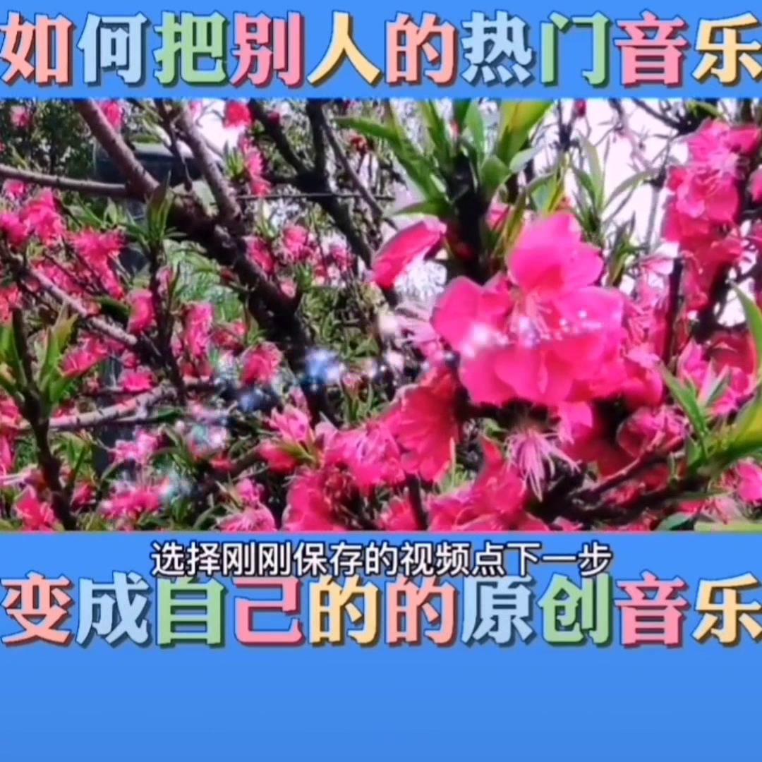 如何把别人的热门音乐变成自己的的原创音乐（抖音短视频制作教程）