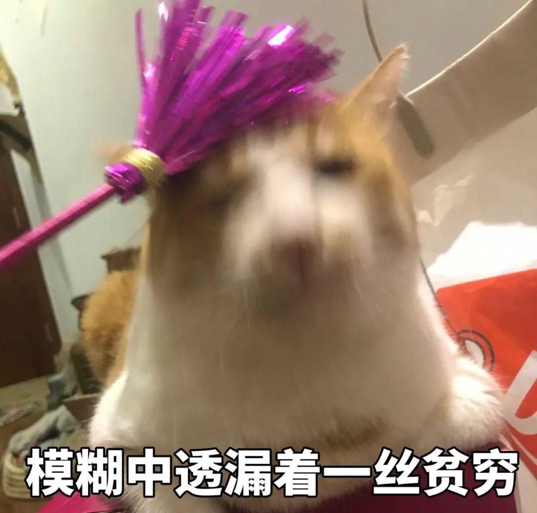 商品历史价格查询是真的吗（淘宝历史价格走势图查看）