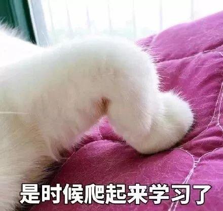 淘宝直通车软件哪个好用(关于淘宝直通车转化出价设置方法)