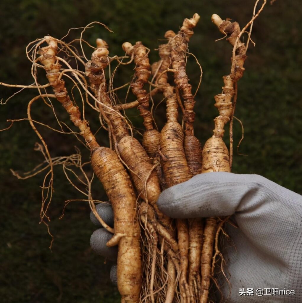 淘宝直播怎么找货源（主播的货源渠道大全）