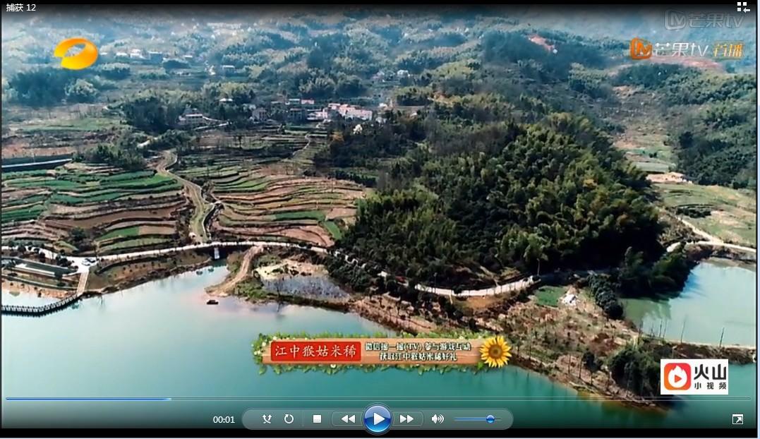 淘宝直播回放怎么下载保存到手机（手机一键提取淘宝视频的技巧）