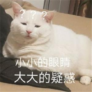 字体添加到哪个文件夹（CAD字体要到哪里找）