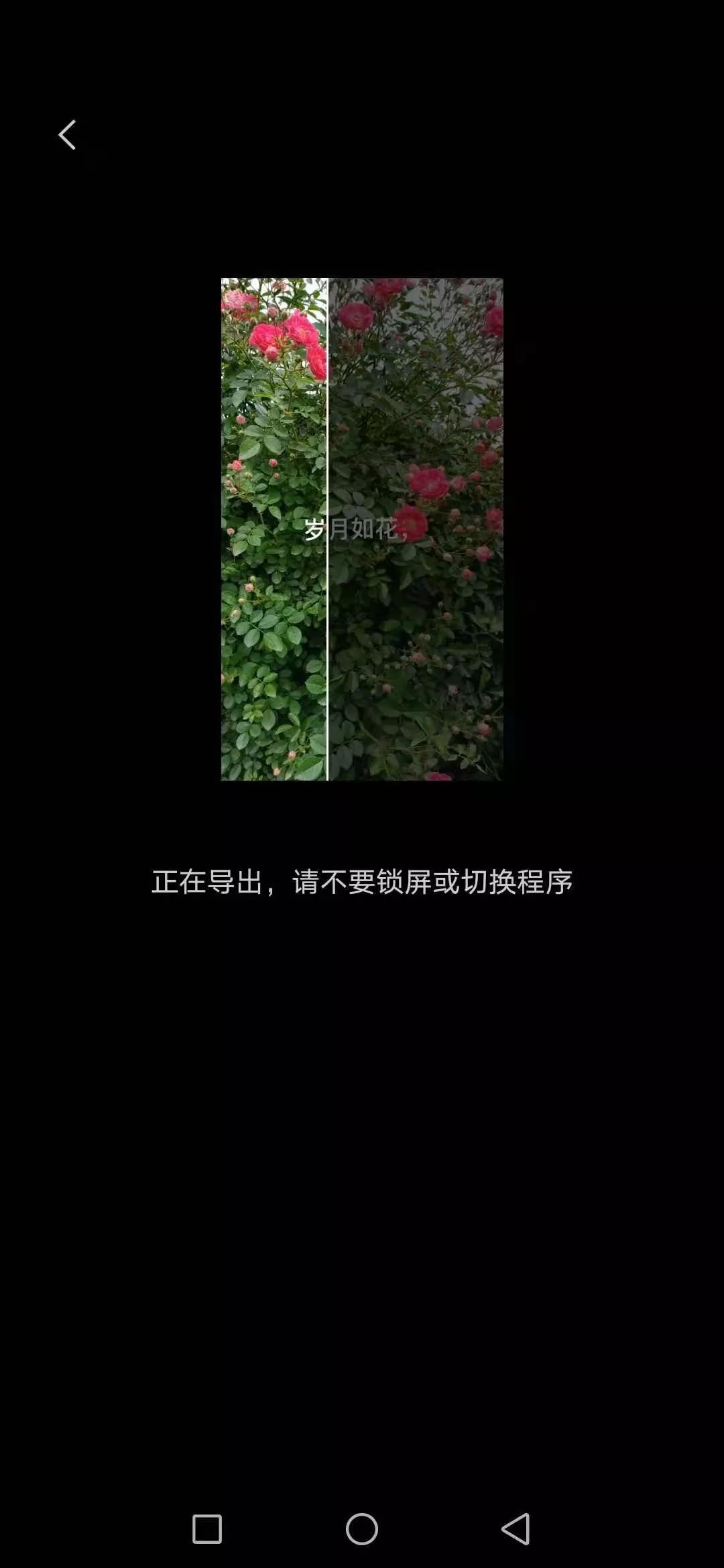 抖音标题文字限55个怎么加字幕（短视频如何添加字幕）