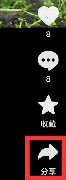 抖音怎么和别人合拍视频（抖音怎么合拍）