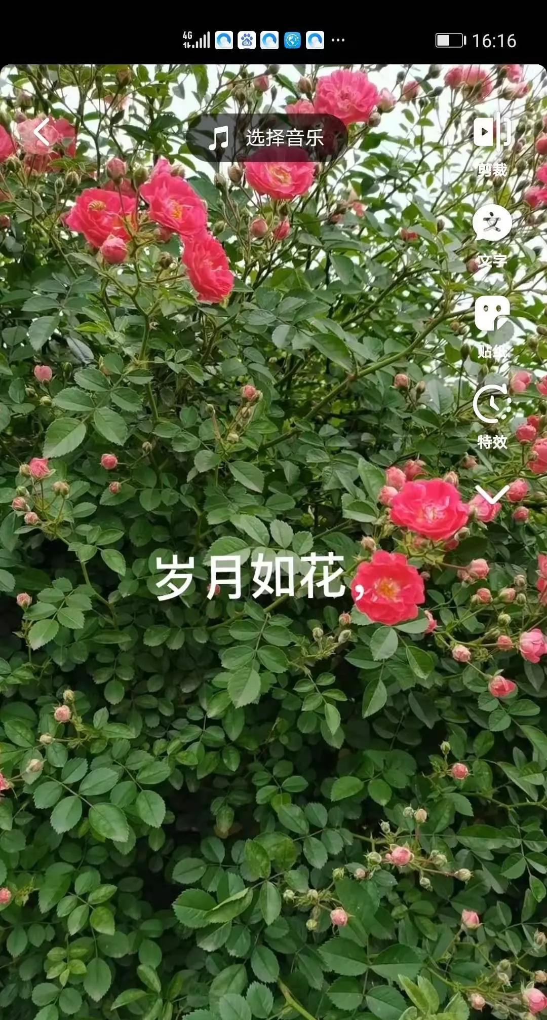 抖音标题文字限55个怎么加字幕（短视频如何添加字幕）