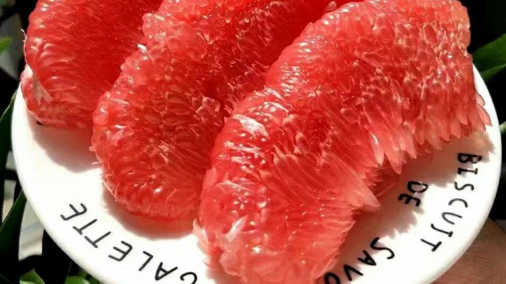 如何在淘宝开一家水果店（淘宝开水果店最新流程） - 12345678