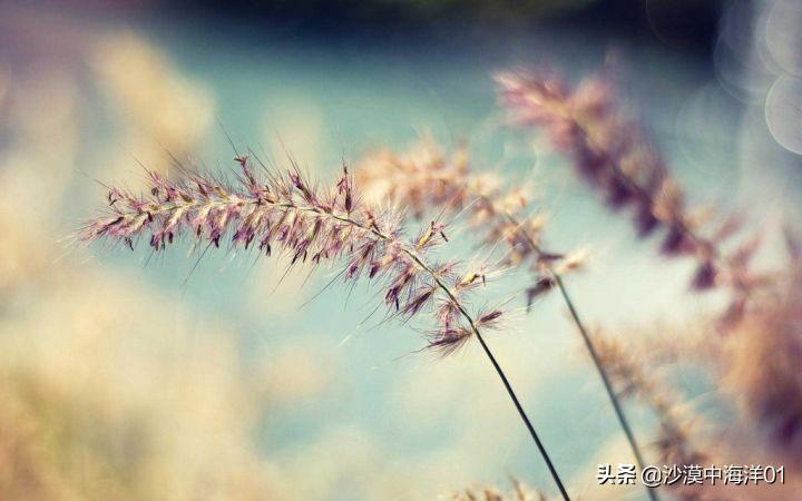 直通车点击软件哪个好（6款淘宝推广软件介绍）