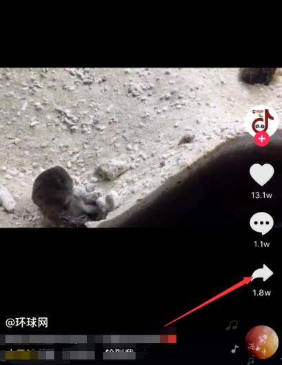 抖音草稿如何保存到相册（怎样把草稿箱的视频存到相册）
