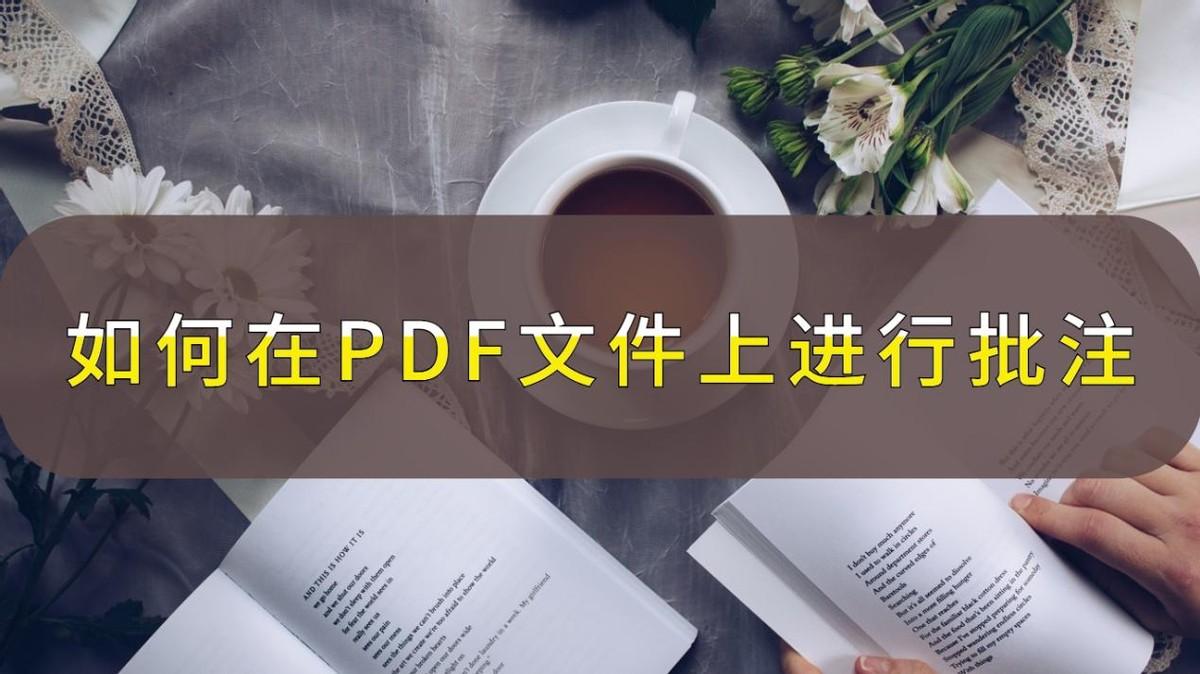 怎么在pdf上做标记圈文字（PDF批注工具）