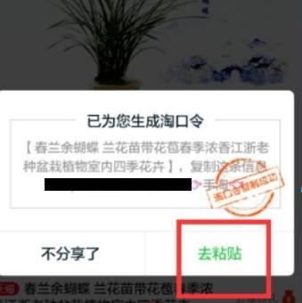淘口令是什么意思有什么好外（商家使用淘口令技巧）