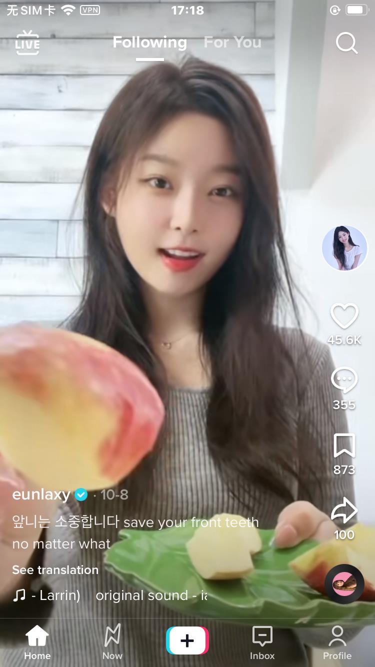 抖音国外版本叫什么怎么读（教大家如何在国内使用TikTok）