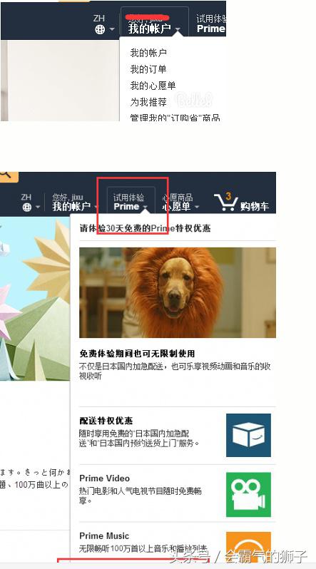 日亚海淘是什么意思（新手海淘下单攻略） - 12345678