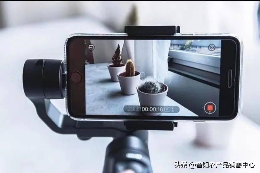 抖音拍摄技巧有哪些（抖音视频拍摄有什么技巧）
