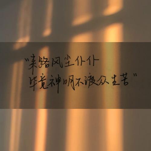 抖音个人简介怎么写吸引粉丝（抖音个人简介干净短句）