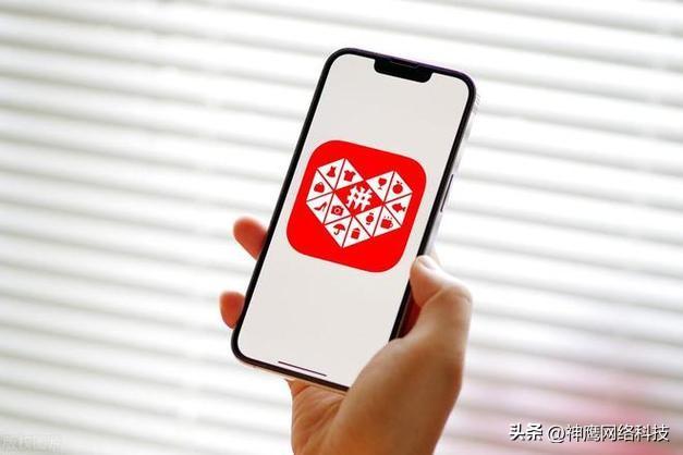 拼多多开网店的步骤（拼多多开店的流程）