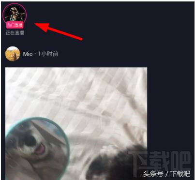 抖音粉丝团最快升10级方法（怎么快速增加粉丝团等级）