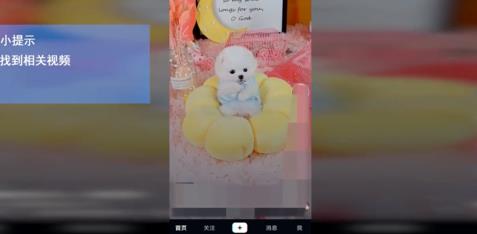 抖音视频怎么发朋友圈（抖音作品导到朋友圈的操作）