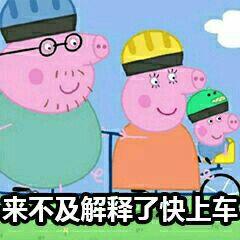 海淘转运网站哪个好（关于海淘运转相关了解） - 12345678
