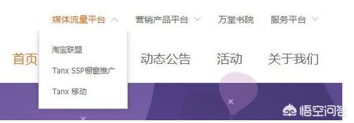 怎样看淘宝联盟推广力度 淘宝联盟id怎么查？