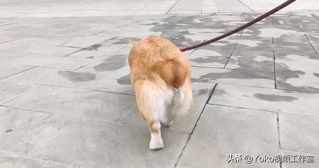 淘二手电脑哪个平台好（正规二手电脑交易平台推荐）