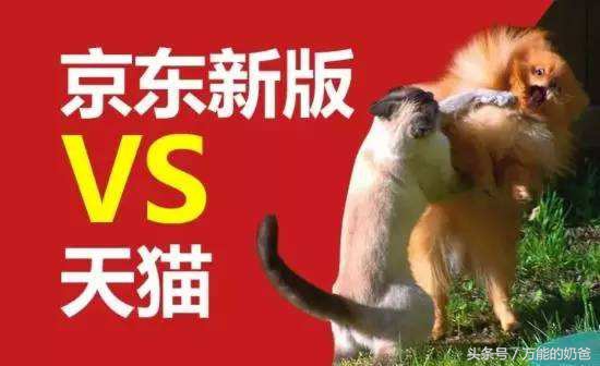 京东和淘宝的区别在哪里（绝对正品的购物网站） - 12345678