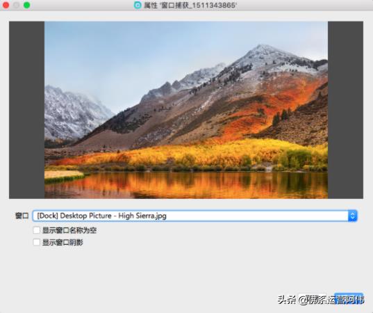淘宝直播网页版怎么看（网页版淘宝直播间的入口）