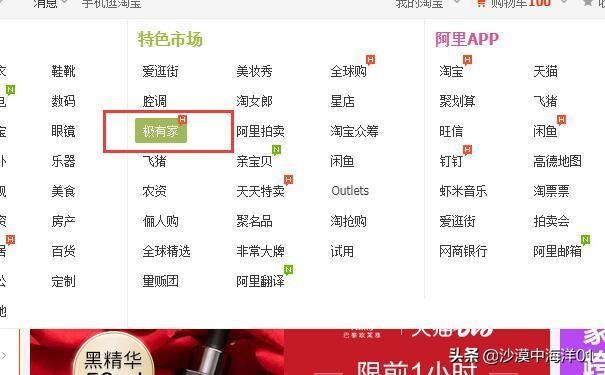 极有家入驻入口在哪里（淘宝极有家入驻费用） - 12345678