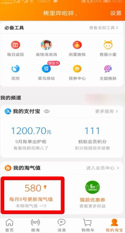 历史淘气值在哪里看（淘宝淘气值查询入口） - 12345678