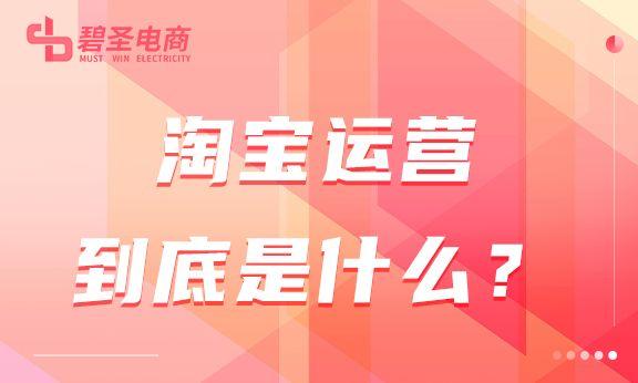 什么是淘宝运营模式（网店运营的操作技巧） - 12345678