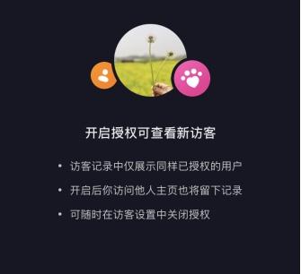 最新不登账号看别人抖音有显示吗（抖音主页访客记录能看到陌生人吗）