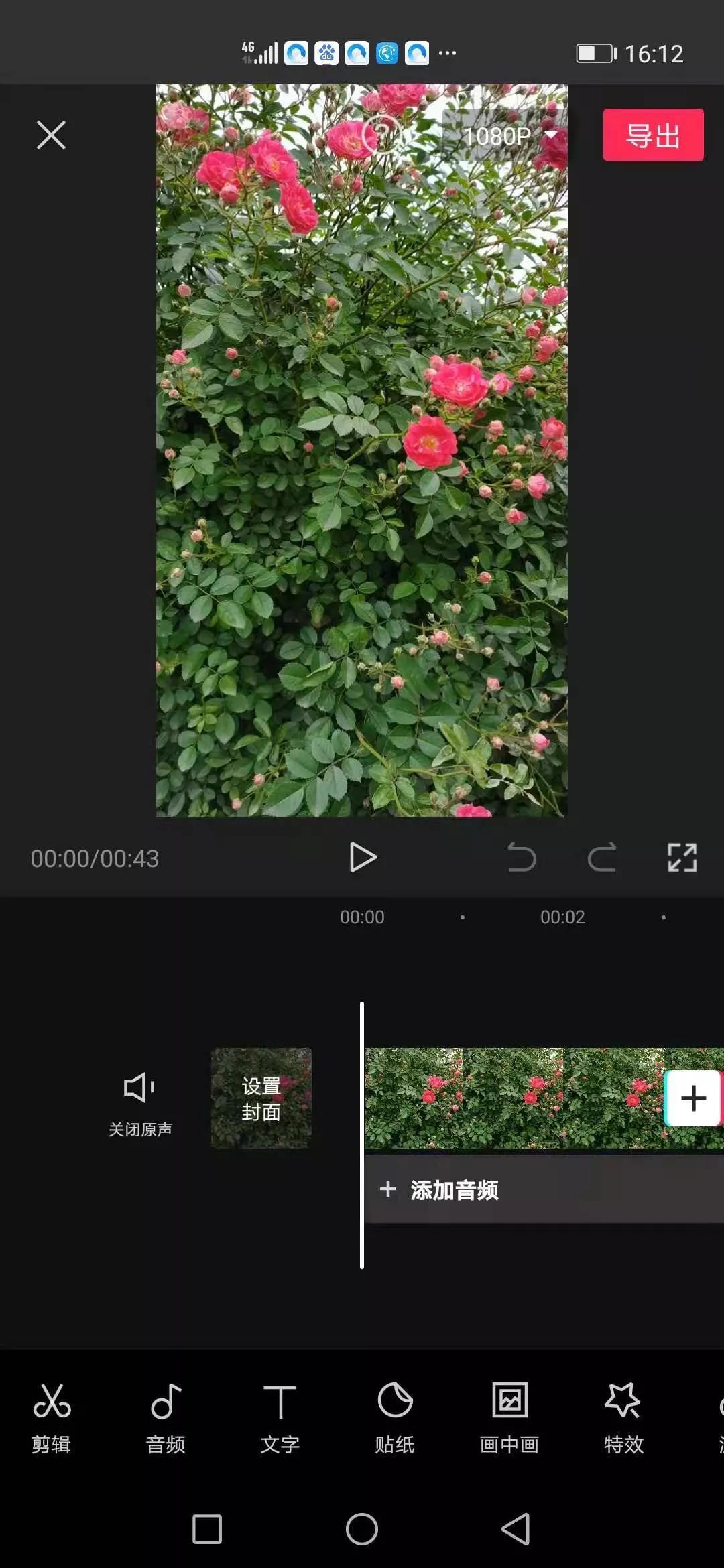 抖音标题文字限55个怎么加字幕（短视频如何添加字幕）