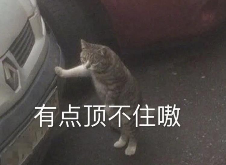聚划算还没结束价格就变了（淘宝聚划算退差价规则） - 12345678
