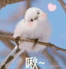 cab文件怎么打开（后缀为cab的文件打开方法）