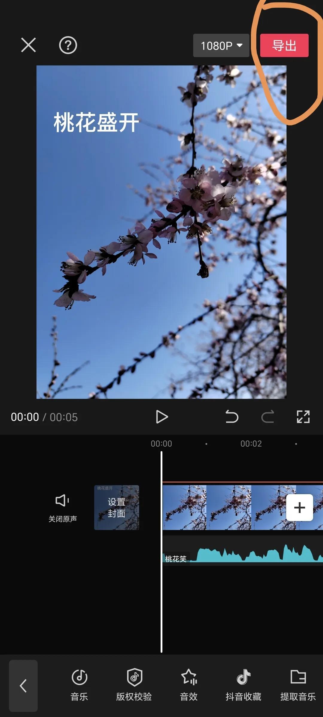 抖音剪辑视频怎么制作（怎样编辑抖音短视频）