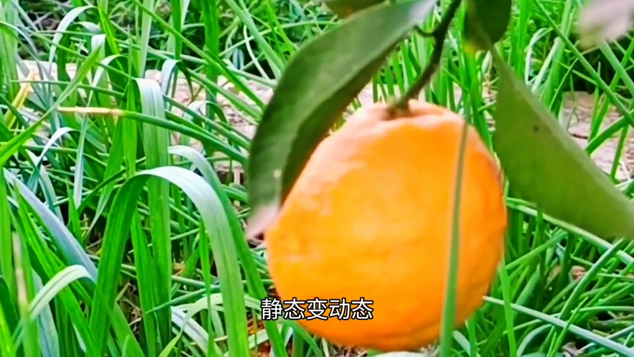 视频关键帧是什么意思